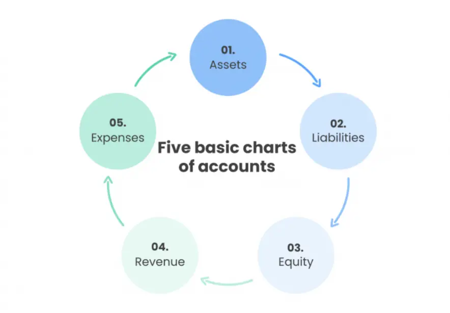 Vencru | Chart of Accounts for Nonprofit: A Comprehensive Guide Components of Chart of Accounts
