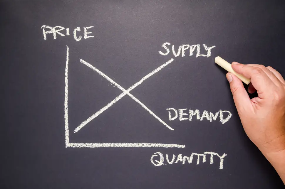 Vencru | What is Inventory Management: Definition, and Process Economic Order Quantity (EOQ)